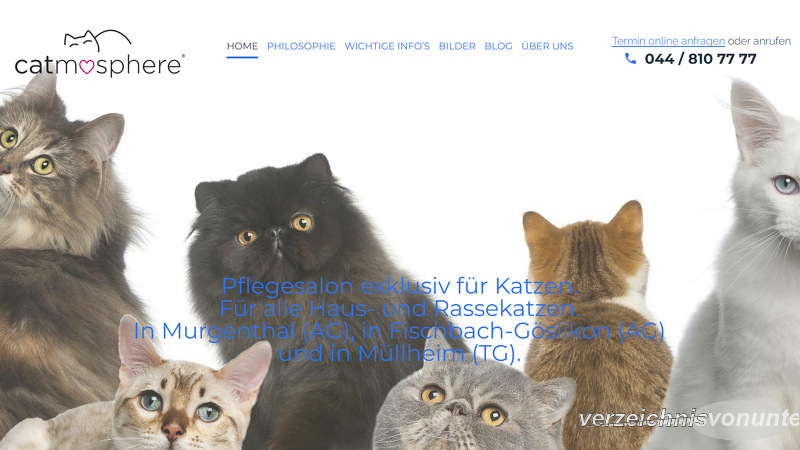 CATMOSPHERE KATZENSALON KATZENBADEN.CH